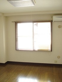 Living and room. Calm brown color of flooring