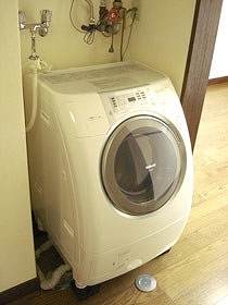 Other. Also it comes with a drum-type washing and drying machine