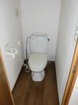 Toilet. WC