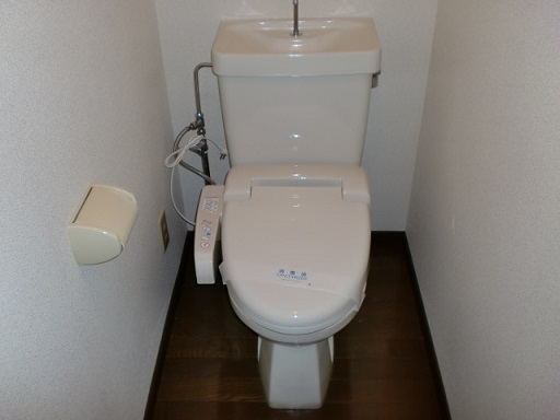 Toilet. Toilet is with a bidet.