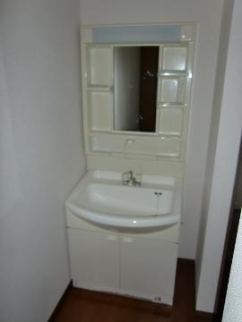 Washroom. Bathroom Vanity