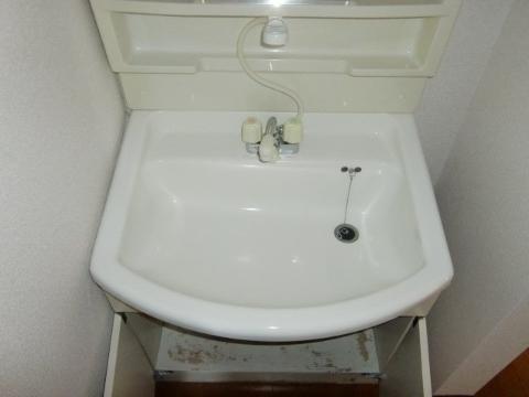 Washroom. Bathroom Vanity