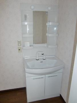 Washroom. Bathroom Vanity