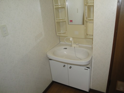 Washroom. It is wide with shampoo dresser.