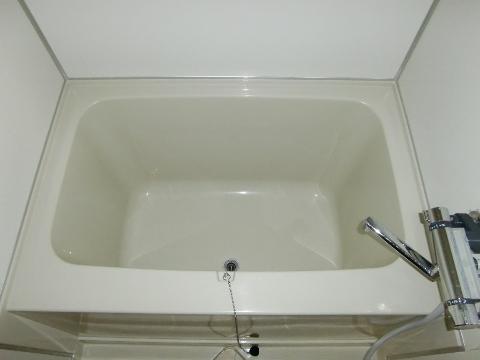 Bath. Bathtub