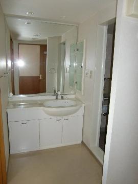 Other room space. Shampoo wash basin