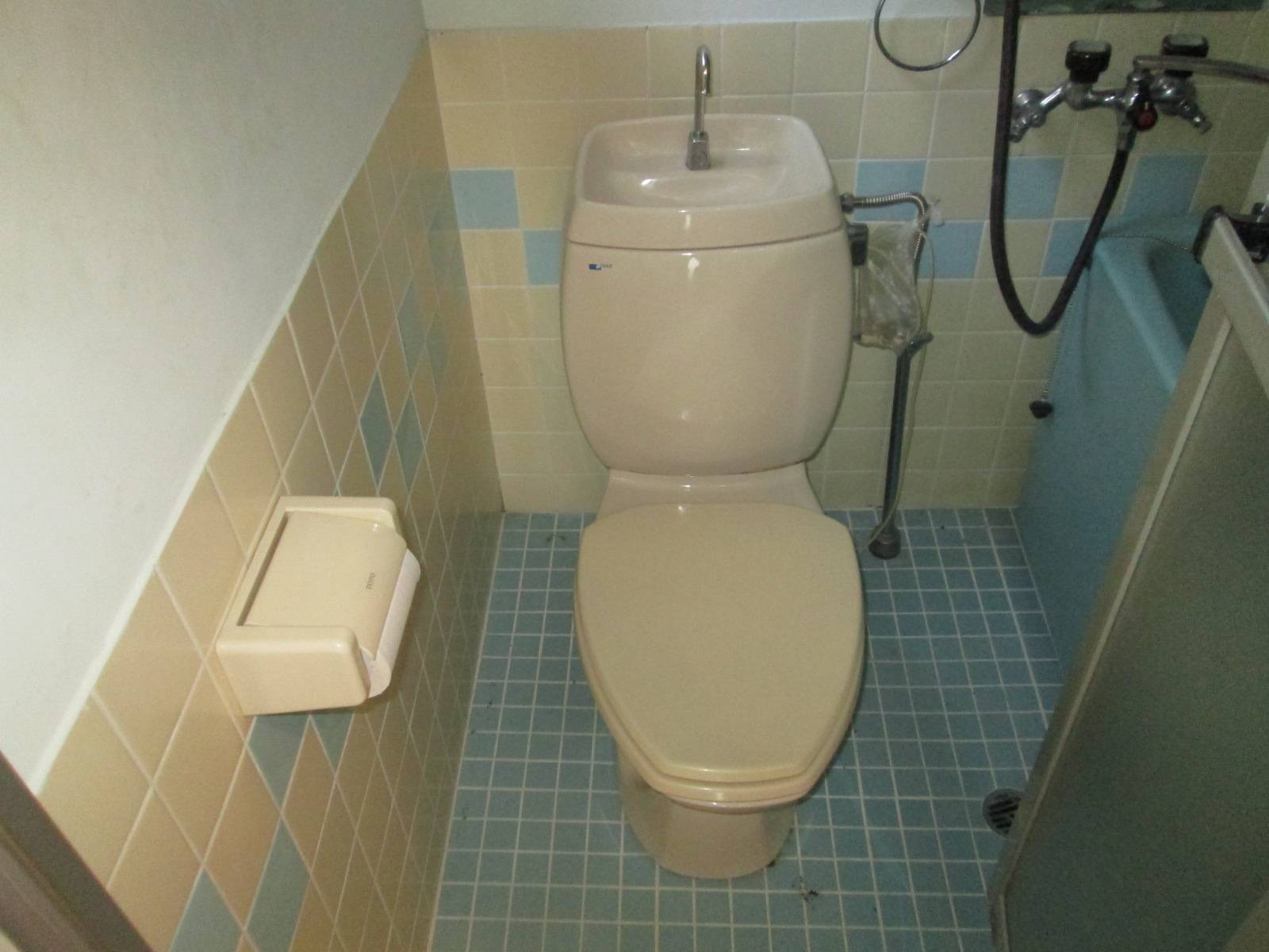 Toilet