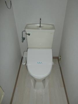 Toilet. WC