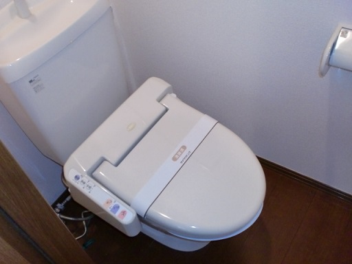 Toilet. Toilet with a bidet