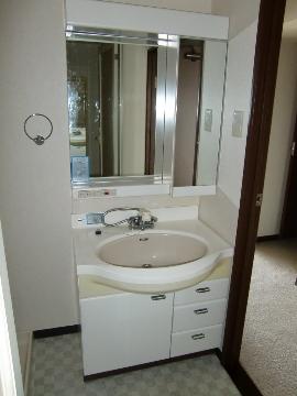 Other room space. Shampoo wash basin