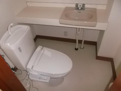 Toilet. First floor toilet with hand washing