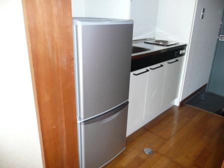 Kitchen. Fridge