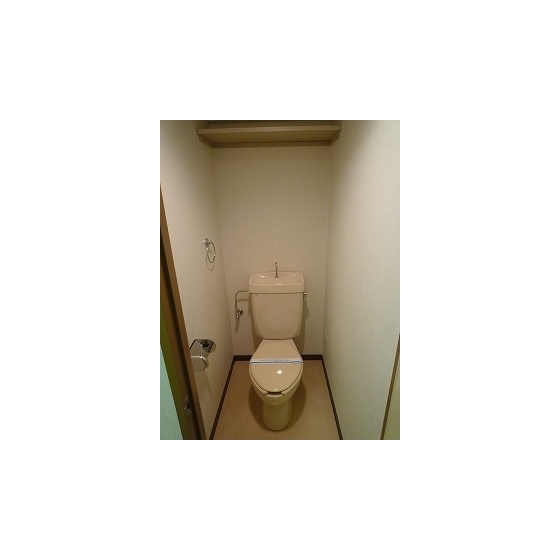 Other. Toilet