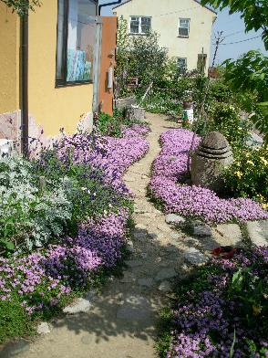 Garden. Colorful garden is attractive.