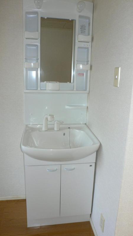 Washroom. Shampoo dresser