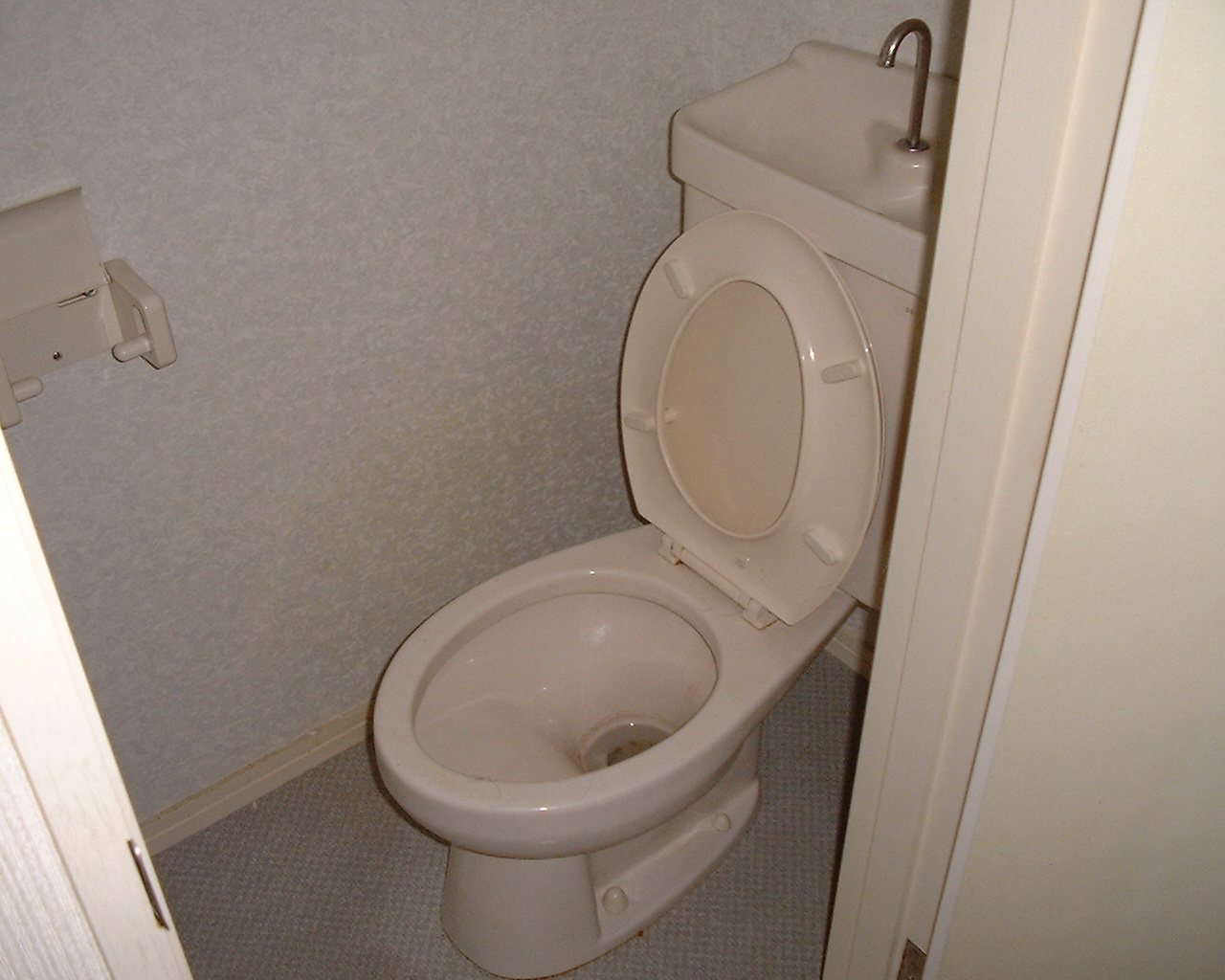 Toilet