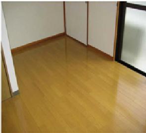 Living and room. Comfortable flooring