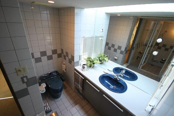 Toilet. Design is highly toilet.