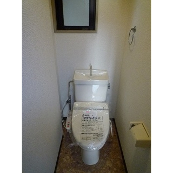 Other. Toilet