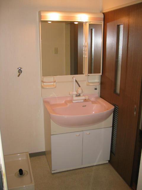 Washroom. Shampoo dresser