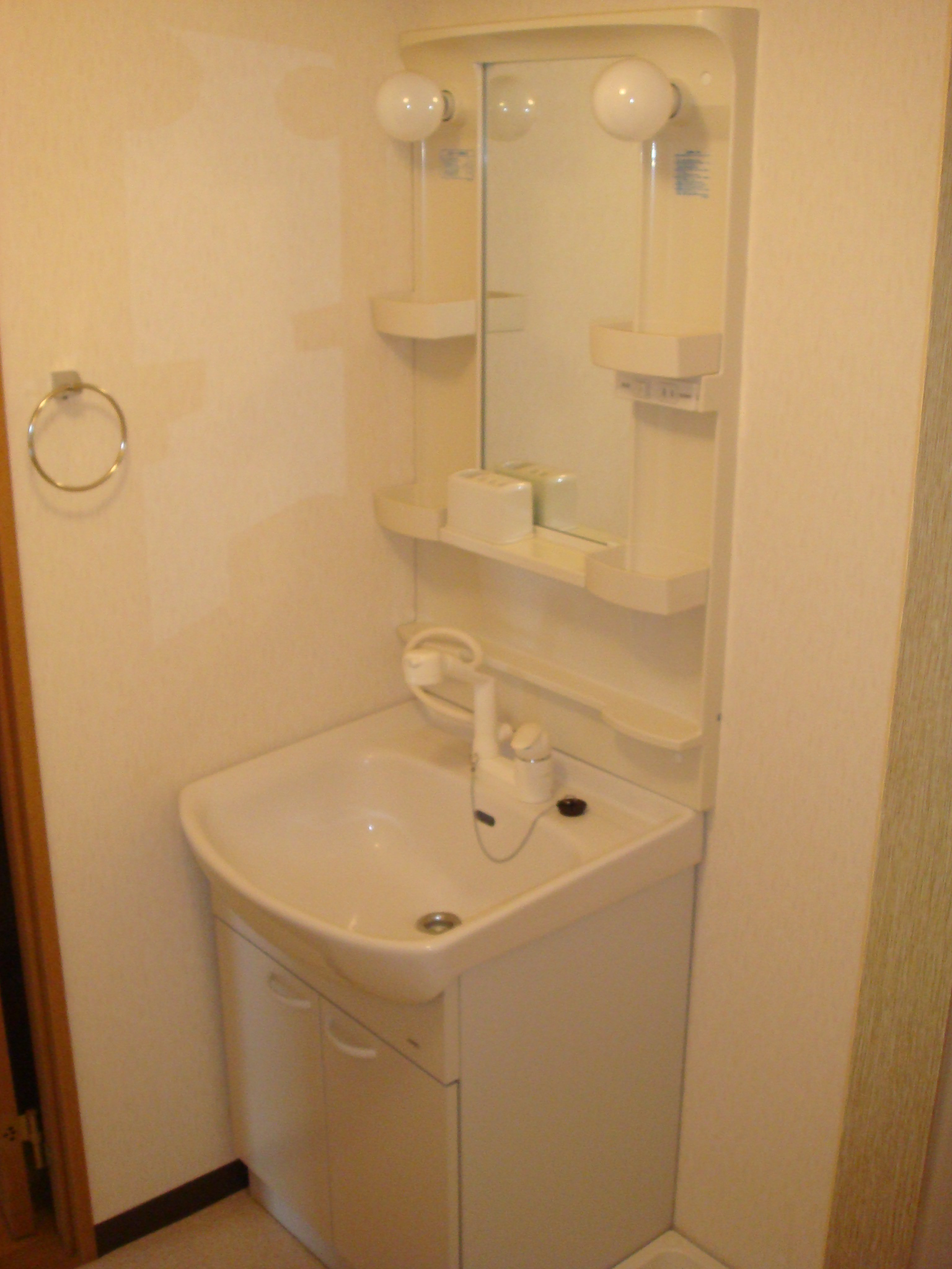 Washroom. Shampoo dresser