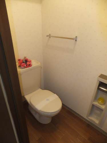 Toilet. C102