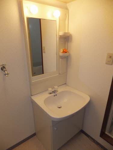 Washroom. C102 vanity