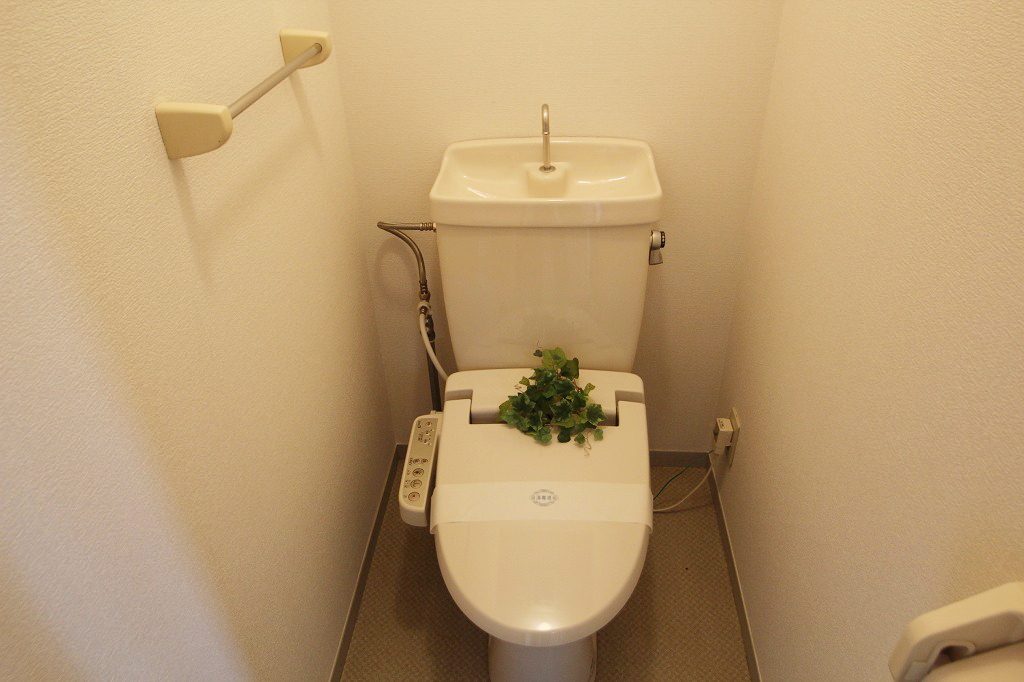 Toilet. It is a reference photograph of the same type of room