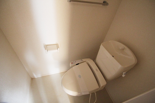 Toilet. It is a reference photograph of the same type