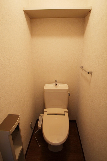 Toilet. It is a reference photograph of the inverted type