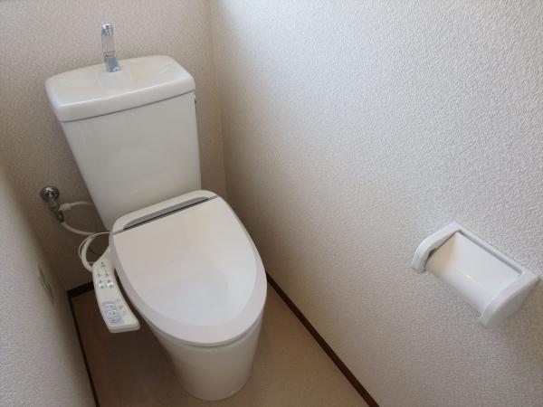 Toilet. You can use it comfortably that it has replaced with a new one.