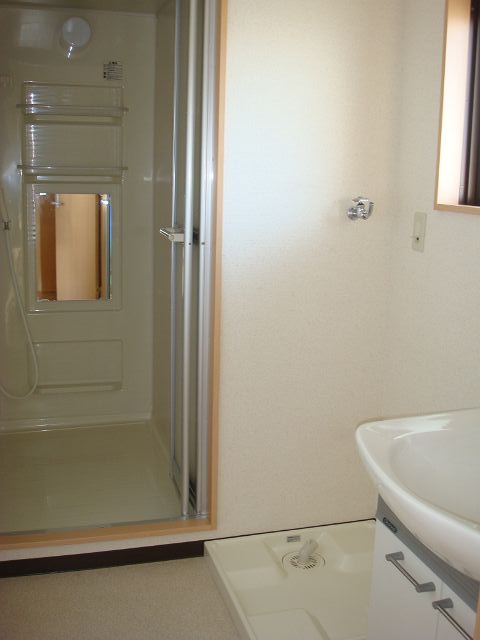 Washroom. With shampoo dresser