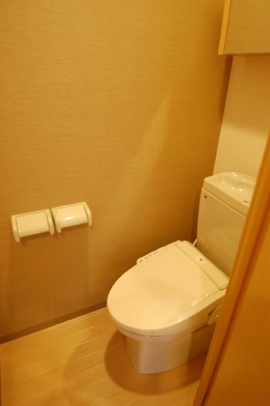 Toilet. Bidet with toilet