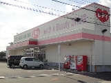 Dorakkusutoa. Redeiyakkyoku Kasuga shop 211m until (drugstore)