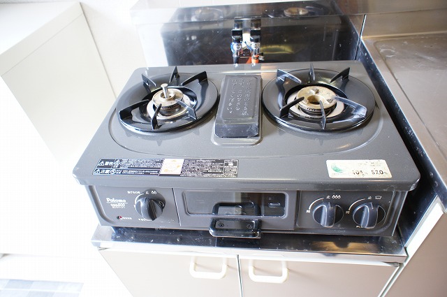 Kitchen. With a two-burner gas stove fish burner