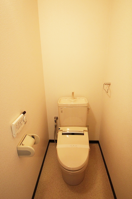 Toilet. It is a reference photograph of the inverted type
