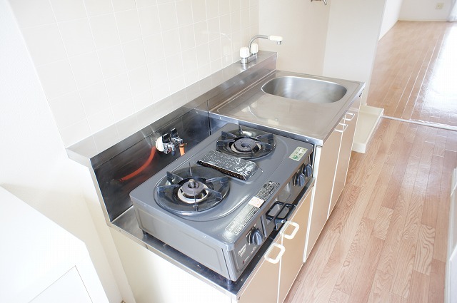 Kitchen. With a two-burner gas stove fish burner