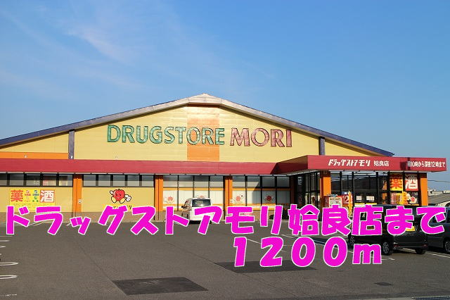 Dorakkusutoa. Drugstore Mori 1200m until (drugstore)