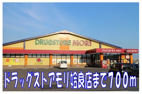 Dorakkusutoa. Drugstore Mori Aira shop 700m until (drugstore)