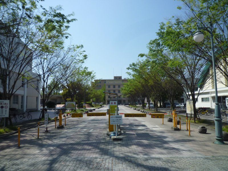 Other. 520m to Kagoshima University Faculty of Education (Other)