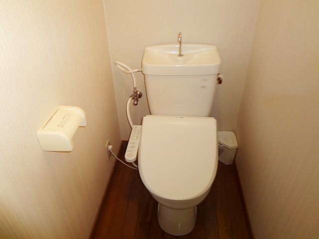 Toilet. It comes with rare Washlet