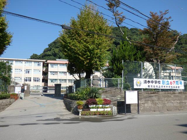 Other. Junior high school is Shimizu junior high school.