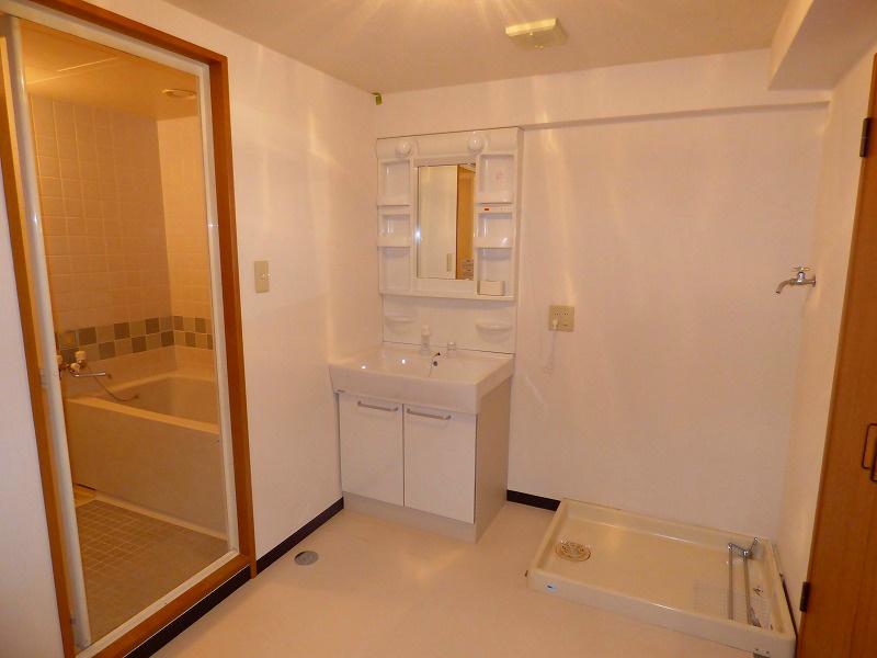Other. Also spacious and washroom.