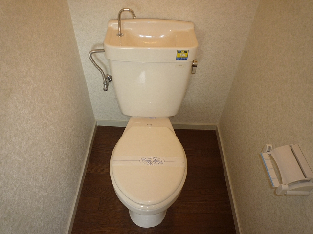 Toilet. It is a Western-style toilet in another bus toilet!