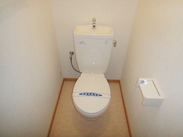 Toilet. It is these days of Western-style toilet
