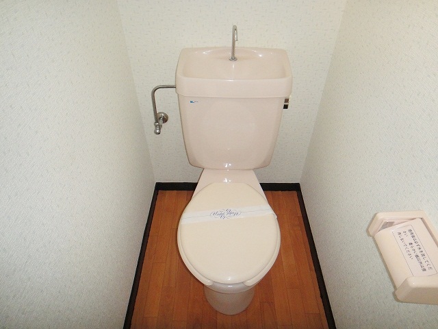 Toilet. Of course, Western-style toilet!