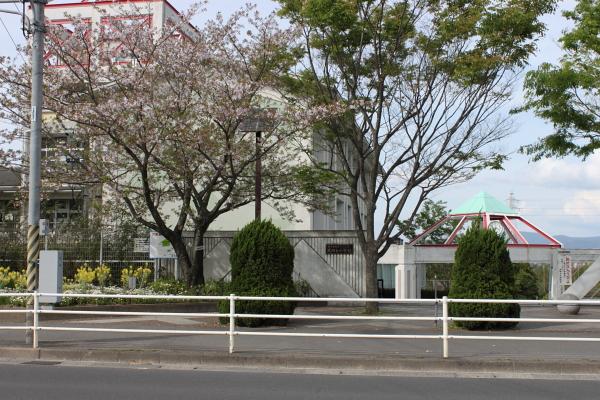 Primary school. 790m until Takeoka stand elementary school