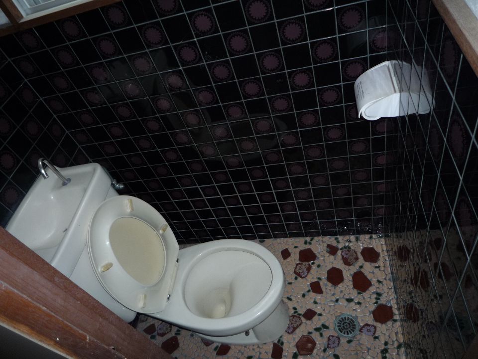 Toilet. Western-style toilet with cleanliness
