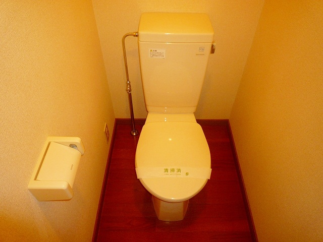 Toilet. Western-style toilet!