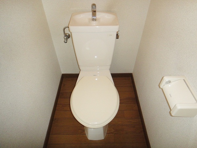 Toilet. Full of clean Western-style toilet.